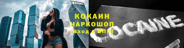 дмт Гусь-Хрустальный