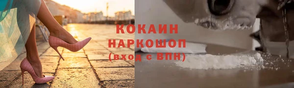 соль ск Гусев