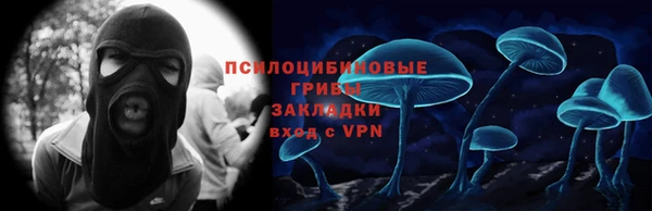 соль ск Гусев