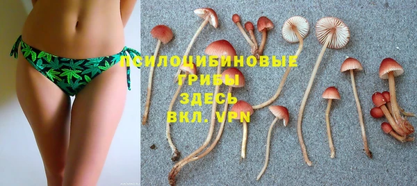 дмт Гусь-Хрустальный
