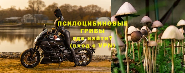 не бодяженный Гусиноозёрск