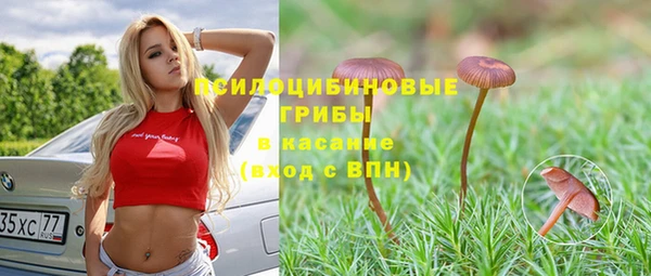 соль ск Гусев