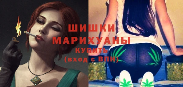 дмт Гусь-Хрустальный