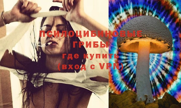 дмт Гусь-Хрустальный