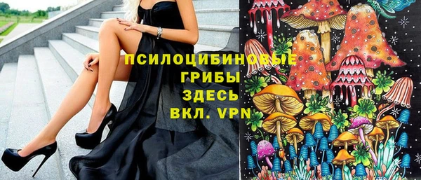 не бодяженный Гусиноозёрск